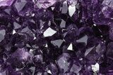 Free-Standing Amethyst Crystal Cluster - Uruguay #368257-1